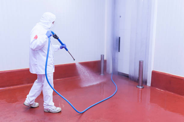 Best Boat and Dock Cleaning  in Claymont, DE