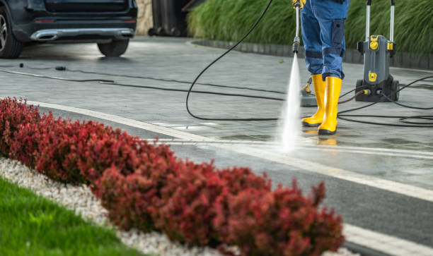 Best Sidewalk and Walkway Cleaning  in Claymont, DE